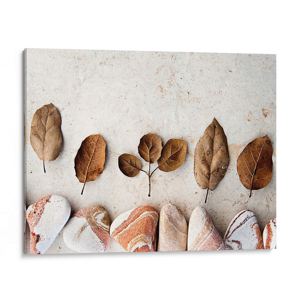 Regalos De La Tierra Iv - Elena Ray | Cuadro decorativo de Canvas Lab