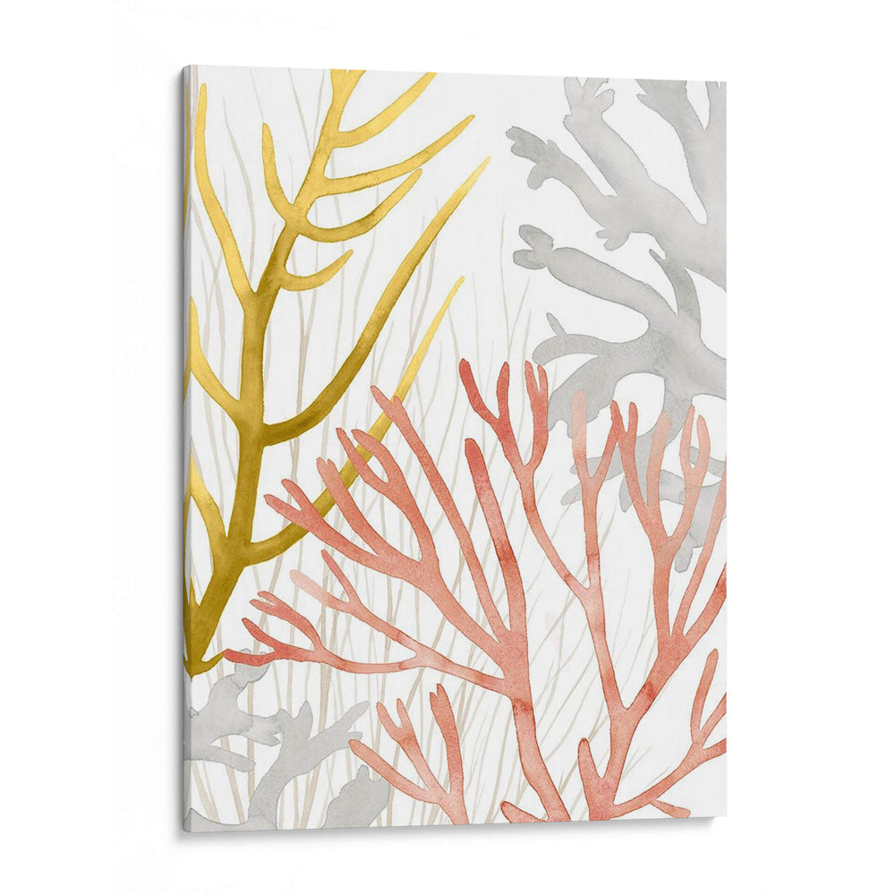 Desert Coral Ii - Grace Popp | Cuadro decorativo de Canvas Lab