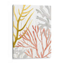 Desert Coral Ii - Grace Popp | Cuadro decorativo de Canvas Lab