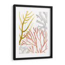 Desert Coral Ii - Grace Popp | Cuadro decorativo de Canvas Lab