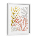Desert Coral Ii - Grace Popp | Cuadro decorativo de Canvas Lab
