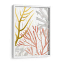 Desert Coral Ii - Grace Popp | Cuadro decorativo de Canvas Lab