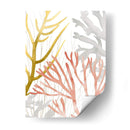 Desert Coral Ii - Grace Popp | Cuadro decorativo de Canvas Lab