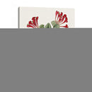 Roseate Blooms V - Vision Studio | Cuadro decorativo de Canvas Lab