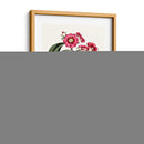 Roseate Blooms Vi - Vision Studio | Cuadro decorativo de Canvas Lab