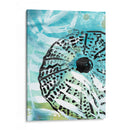 Echinoidia I - June Erica Vess | Cuadro decorativo de Canvas Lab