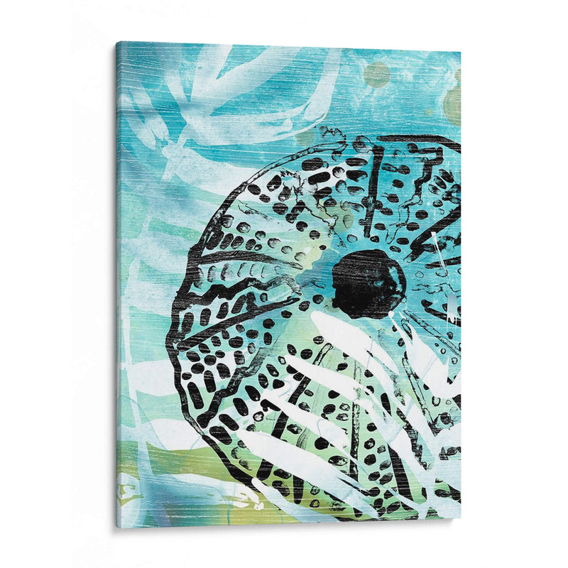 Echinoidia I - June Erica Vess | Cuadro decorativo de Canvas Lab