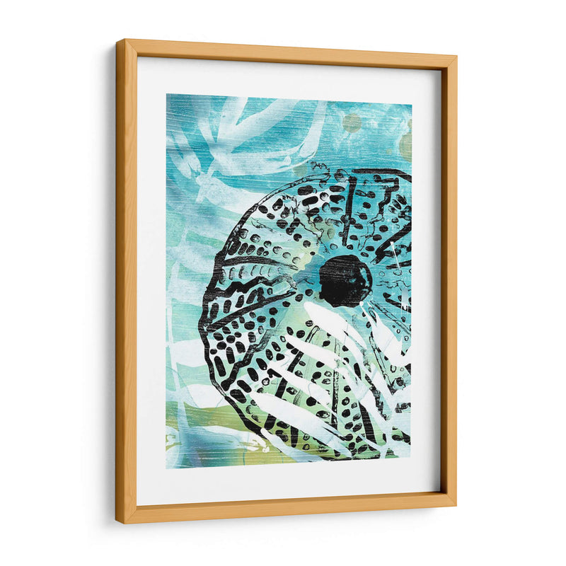 Echinoidia I - June Erica Vess | Cuadro decorativo de Canvas Lab