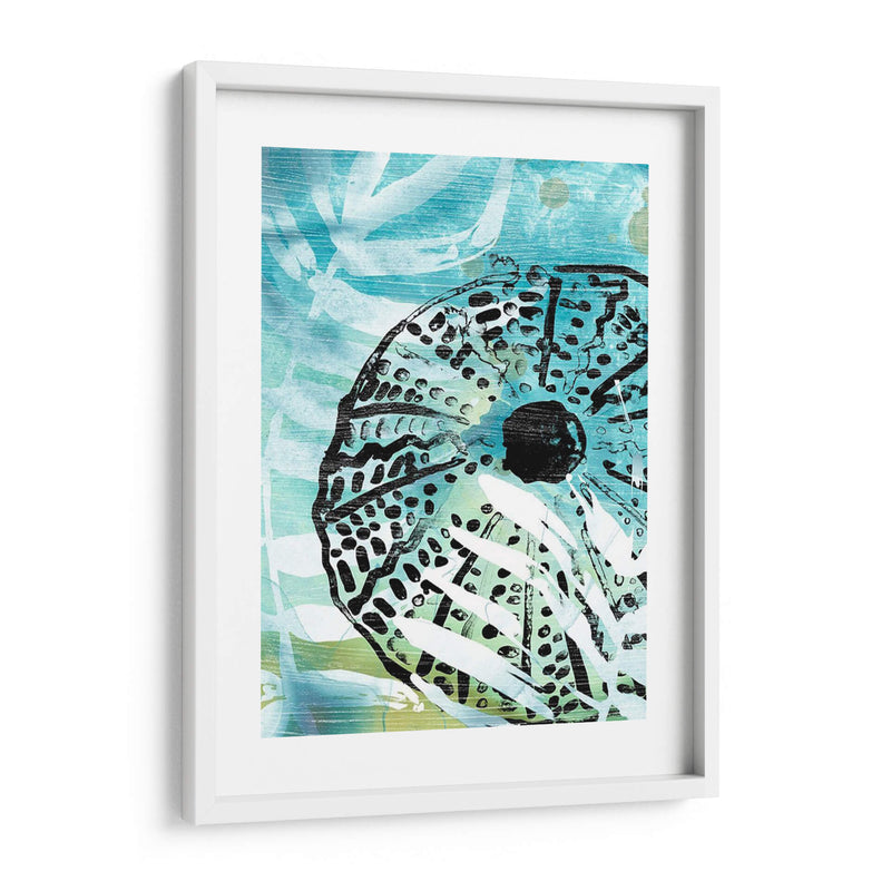 Echinoidia I - June Erica Vess | Cuadro decorativo de Canvas Lab