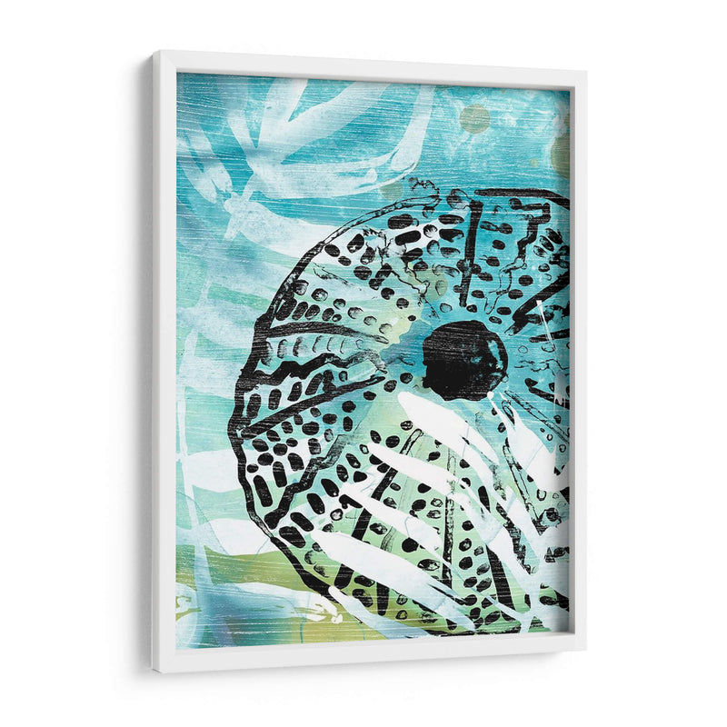 Echinoidia I - June Erica Vess | Cuadro decorativo de Canvas Lab
