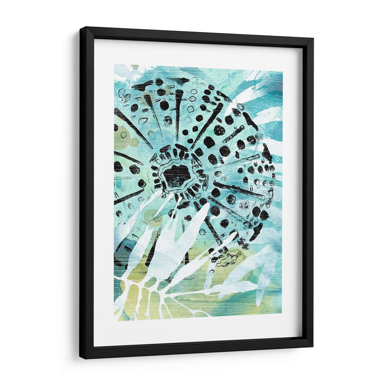 Echinoidia Ii - June Erica Vess | Cuadro decorativo de Canvas Lab