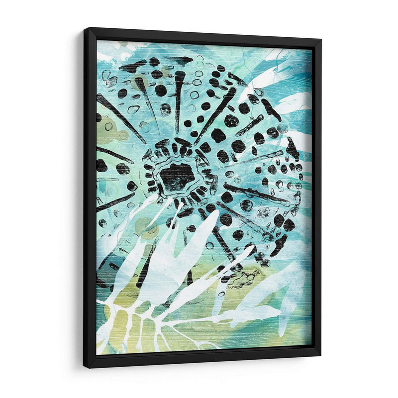 Echinoidia Ii - June Erica Vess | Cuadro decorativo de Canvas Lab