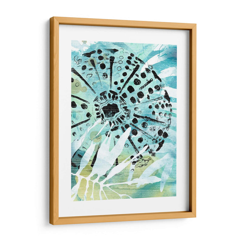Echinoidia Ii - June Erica Vess | Cuadro decorativo de Canvas Lab