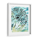 Echinoidia Ii - June Erica Vess | Cuadro decorativo de Canvas Lab