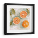 Citrus Fresco Iii - Emma Scarvey | Cuadro decorativo de Canvas Lab