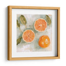 Citrus Fresco Iii - Emma Scarvey | Cuadro decorativo de Canvas Lab