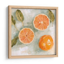 Citrus Fresco Iii - Emma Scarvey | Cuadro decorativo de Canvas Lab