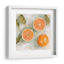 Citrus Fresco Iii - Emma Scarvey | Cuadro decorativo de Canvas Lab