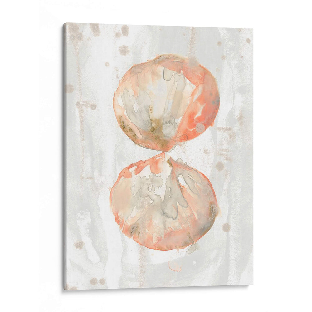 Molusk Muted I - June Erica Vess | Cuadro decorativo de Canvas Lab