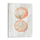 Molusk Muted I - June Erica Vess | Cuadro decorativo de Canvas Lab