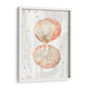 Molusk Muted I - June Erica Vess | Cuadro decorativo de Canvas Lab
