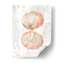 Molusk Muted I - June Erica Vess | Cuadro decorativo de Canvas Lab