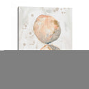 Molusk Muted Ii - June Erica Vess | Cuadro decorativo de Canvas Lab