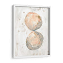 Molusk Muted Ii - June Erica Vess | Cuadro decorativo de Canvas Lab
