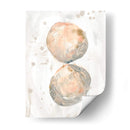 Molusk Muted Ii - June Erica Vess | Cuadro decorativo de Canvas Lab