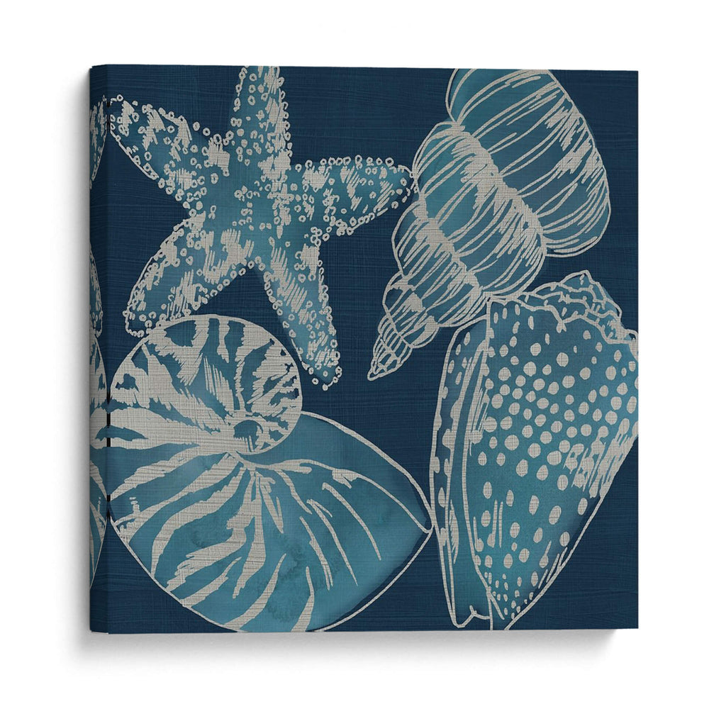 Conchas Marinas I - Chariklia Zarris | Cuadro decorativo de Canvas Lab