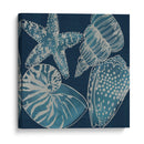 Conchas Marinas I - Chariklia Zarris | Cuadro decorativo de Canvas Lab
