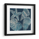 Conchas Marinas I - Chariklia Zarris | Cuadro decorativo de Canvas Lab