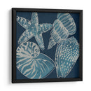 Conchas Marinas I - Chariklia Zarris | Cuadro decorativo de Canvas Lab
