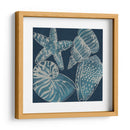 Conchas Marinas I - Chariklia Zarris | Cuadro decorativo de Canvas Lab