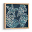 Conchas Marinas I - Chariklia Zarris | Cuadro decorativo de Canvas Lab