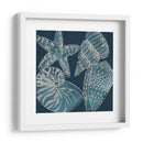 Conchas Marinas I - Chariklia Zarris | Cuadro decorativo de Canvas Lab