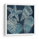 Conchas Marinas I - Chariklia Zarris | Cuadro decorativo de Canvas Lab