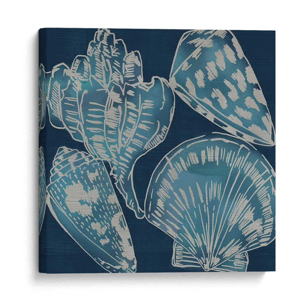 Conchas Marinas Ii - Chariklia Zarris | Cuadro decorativo de Canvas Lab