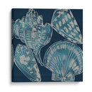Conchas Marinas Ii - Chariklia Zarris | Cuadro decorativo de Canvas Lab
