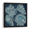 Conchas Marinas Ii - Chariklia Zarris | Cuadro decorativo de Canvas Lab