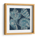 Conchas Marinas Ii - Chariklia Zarris | Cuadro decorativo de Canvas Lab