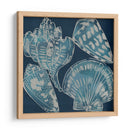 Conchas Marinas Ii - Chariklia Zarris | Cuadro decorativo de Canvas Lab