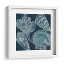 Conchas Marinas Ii - Chariklia Zarris | Cuadro decorativo de Canvas Lab