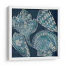 Conchas Marinas Ii - Chariklia Zarris | Cuadro decorativo de Canvas Lab