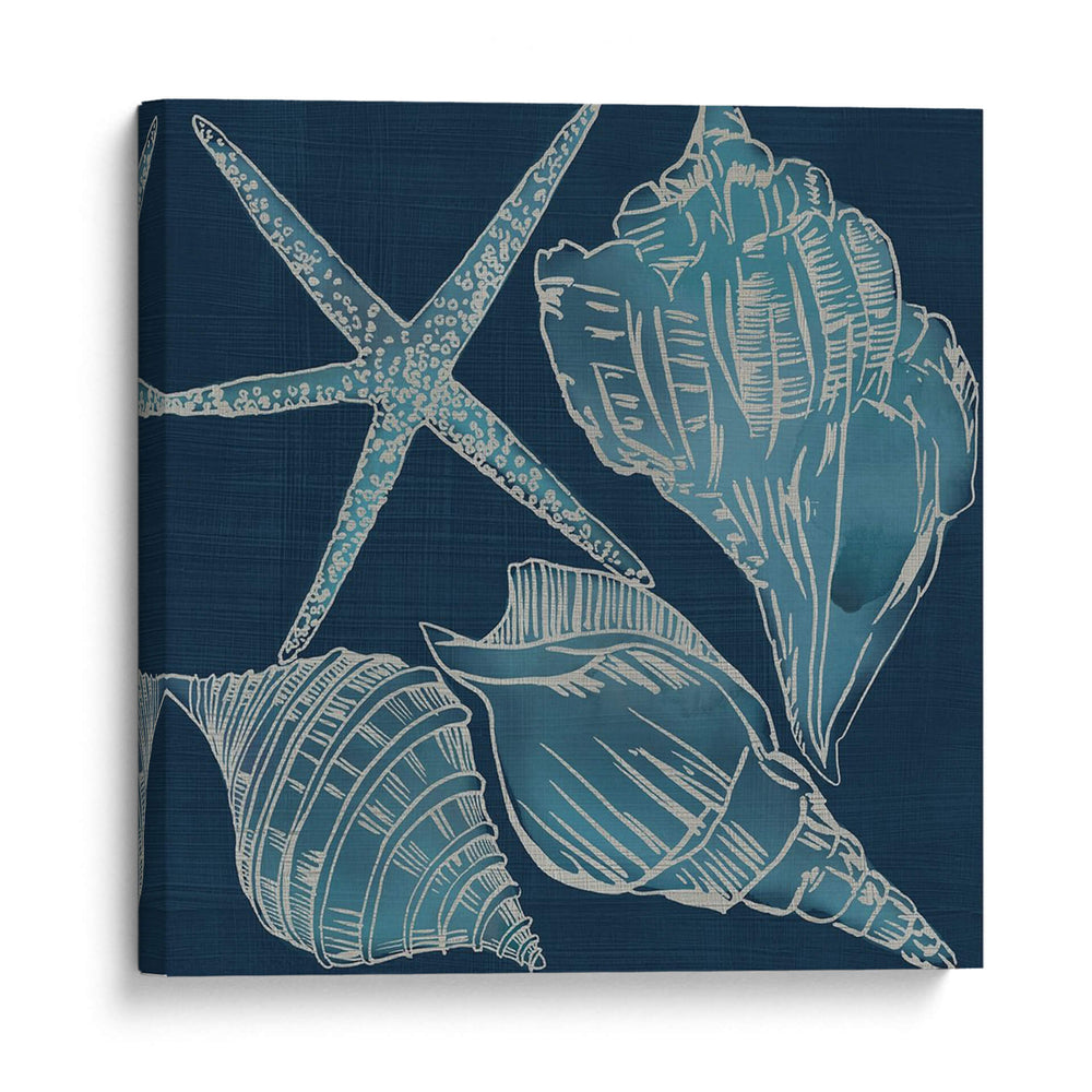 Conchas Marinas Iii - Chariklia Zarris | Cuadro decorativo de Canvas Lab