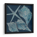 Conchas Marinas Iii - Chariklia Zarris | Cuadro decorativo de Canvas Lab