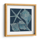Conchas Marinas Iii - Chariklia Zarris | Cuadro decorativo de Canvas Lab