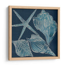 Conchas Marinas Iii - Chariklia Zarris | Cuadro decorativo de Canvas Lab