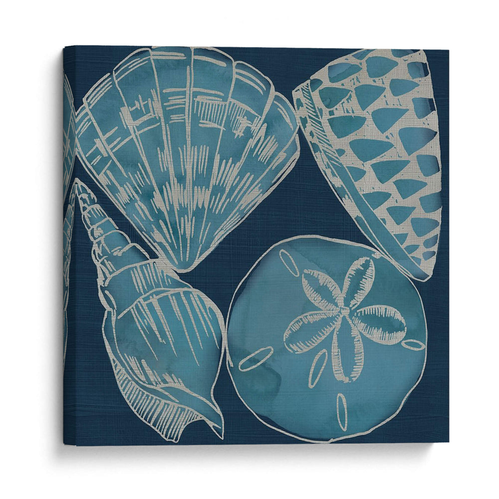 Conchas Marinas Iv - Chariklia Zarris | Cuadro decorativo de Canvas Lab