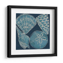 Conchas Marinas Iv - Chariklia Zarris | Cuadro decorativo de Canvas Lab